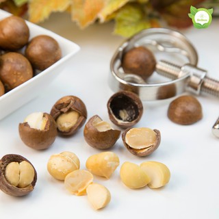 Hạt macca nguyên vỏ 500g