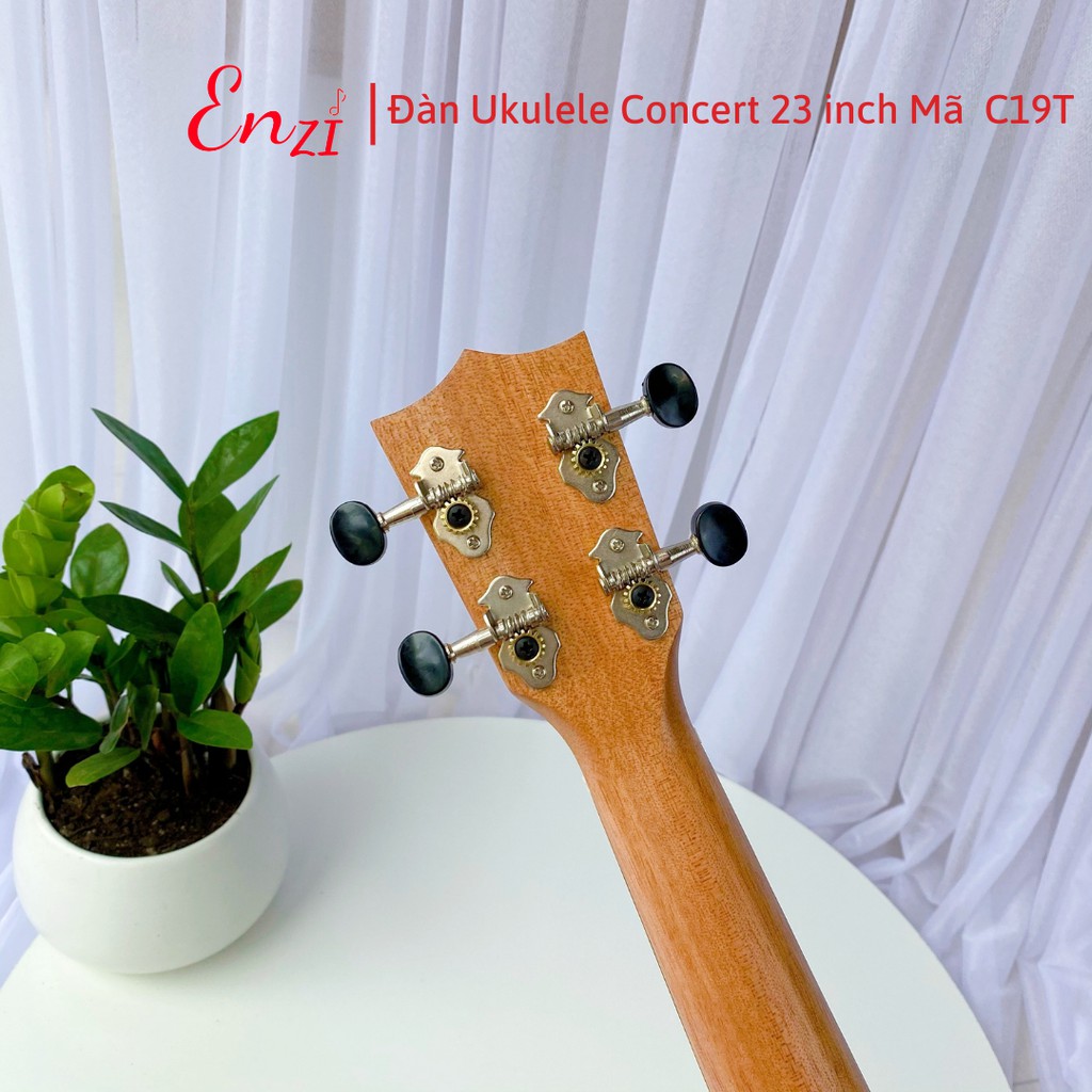 Đàn ukulele concert mã C19T Enzi 21 inch gỗ mộc trơn giá rẻ cho bạn mới bắt đầu tập chơi