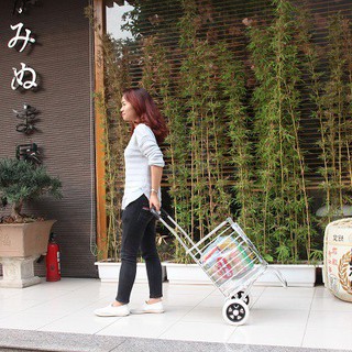 Xe đi chợ NiNDA X800C