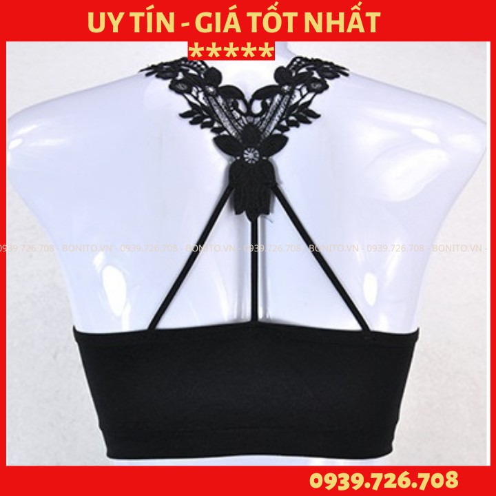Áo lót bra cotton lưng ren bướm 3 lỗ