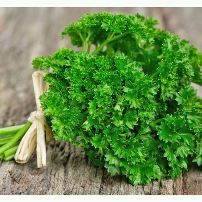 [100g-500g] Lá ngò tây/ lá mùi tây - Lá parsley thơm - Gia vị Tây dùng cho món cá, salad, đồ nướng, súp, nước sốt
