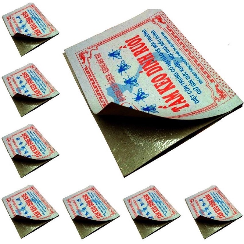 Keo dính ruồi-5 miếng