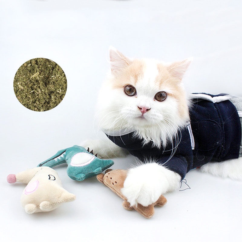 Thú Nhồi Bông Hình Rắn / Xám / Khủng Long Hoạt Hình Chống Cắn Dễ Thương Vui Nhộn Cho Mèo Cưng