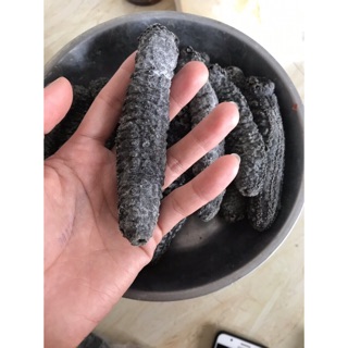 Hải Sâm Đen 5 con Ngâm Riệu