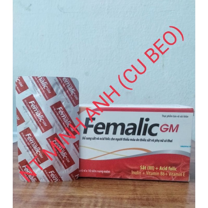 Viên uống bổ sung sắt Femalic GM- HÀNG CHÍNH HÃNG- Bổ sung sắt và acid folic cho người thiếu máu do sắt và PNCT
