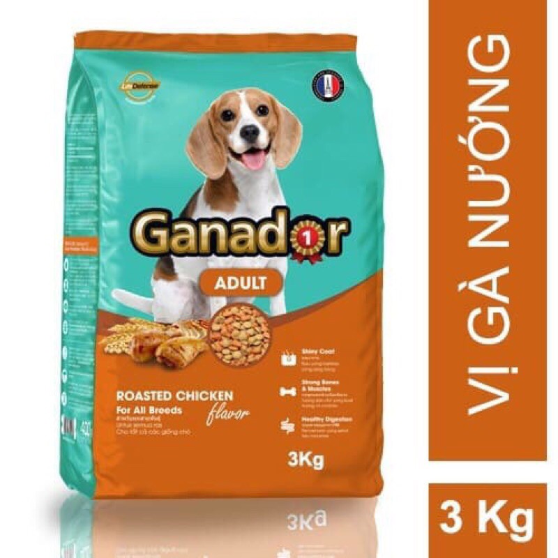 3kg Ganador Adult Roasted Chicken Flavor 3kg-Thức ăn cho Cún trưởng thành vị gà nướng