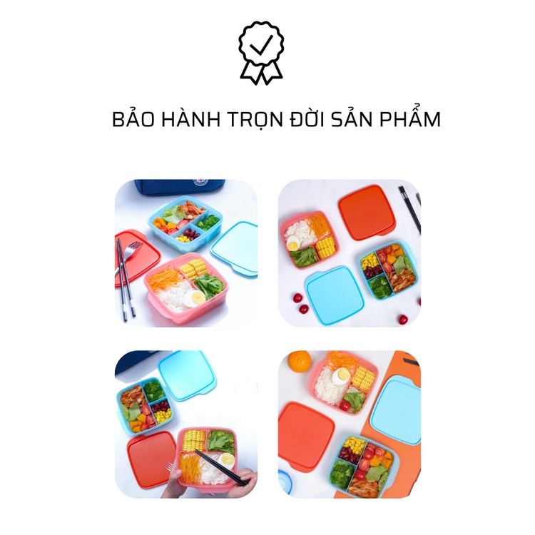 Hộp cơm chia ngăn cho bé, văn phòng LollyTup 550ml Tupperware chính hãng, CAMIHOME phân phối