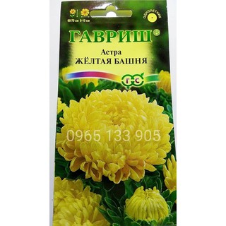 Hạt giống hoa Cúc Đại Đóa Vàng