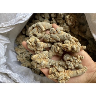 Củ tam thất bắc khô loại 50-52 củ /1kg