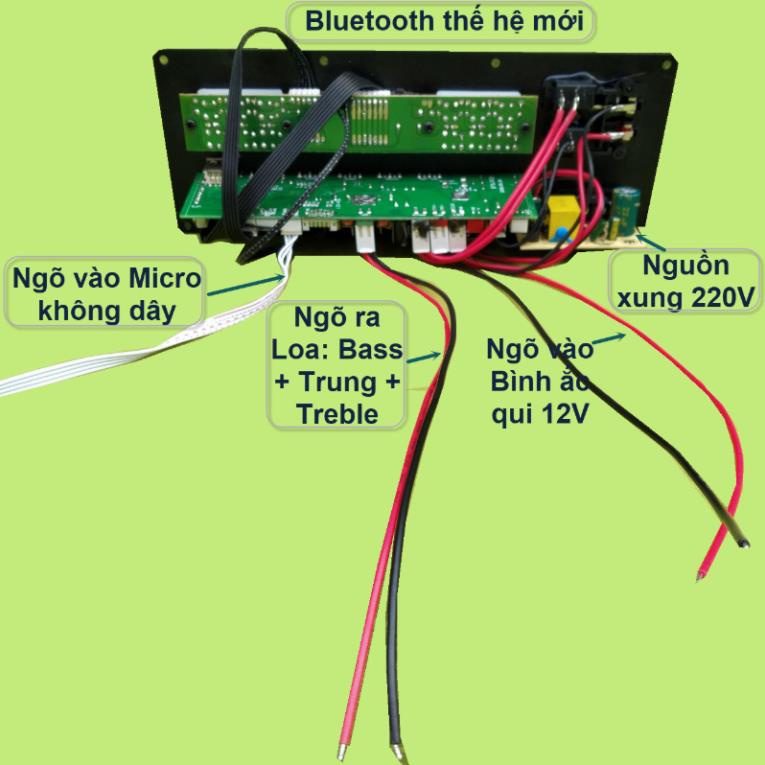 Mạch loa kéo 3 tấc đơn 3 đường tiếng DSP lập trình chống hú IC CS8673E 130W có nguồn xung 220V micro đôi