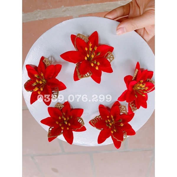 Sỉ hoa trạng nguyên nhỏ,hoa làm cháp lễ tết