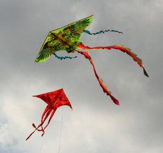 Diều ngang 80cm