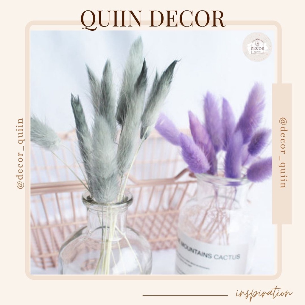 🤗Lọ hoa thủy tinh bắc âucỏ đuôi thỏ❤️[Freeship] 10 bông nhiều màu sắc hoa khô trang trí vintage decor quán