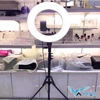 Bộ Đèn Live Stream Size 36cm [Hàng cao cấp 4 màu đèn cực sáng]
