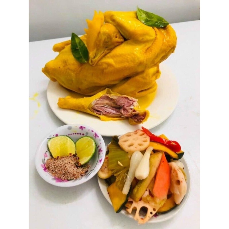 GÀ TA Ủ MUỐI NGUYÊN CON