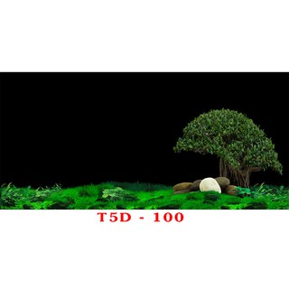Tranh 3d bể cá mã t5d-100 kt