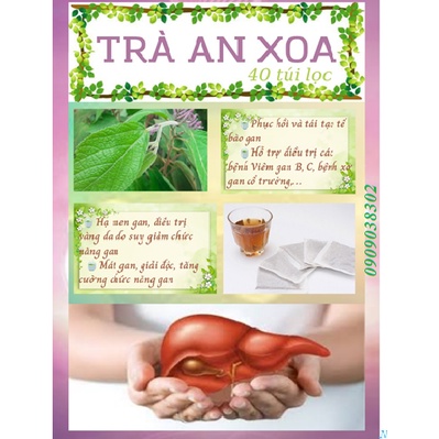 Trà An Xoa - Hạ Gan Nhiễm Mỡ, Xơ Gan, Ung Thư Gan, Giảm Mất Ngủ - 40 Túi lọc