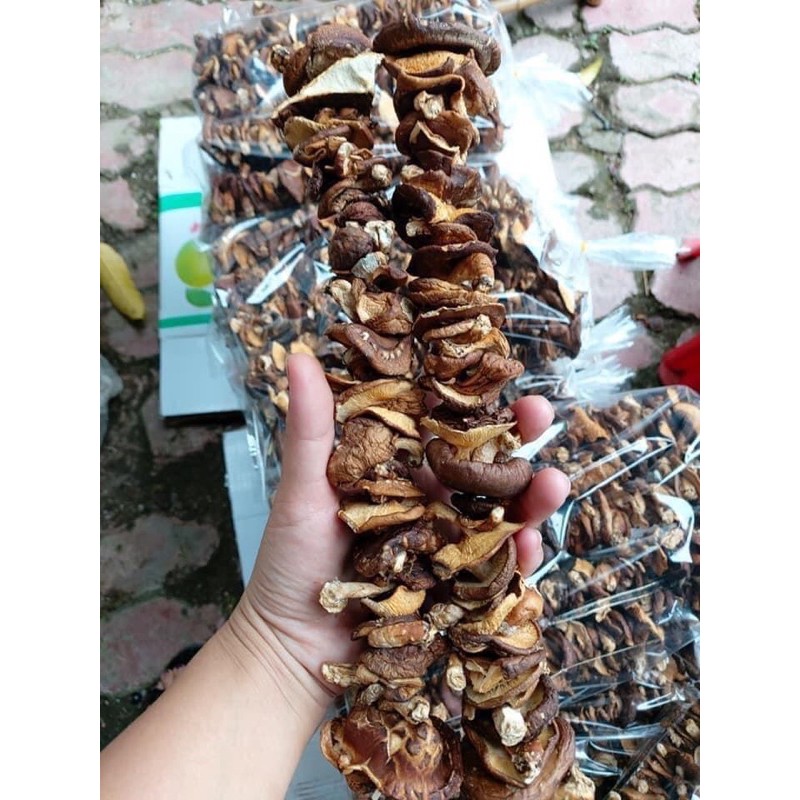 nấm hương rừng | BigBuy360 - bigbuy360.vn