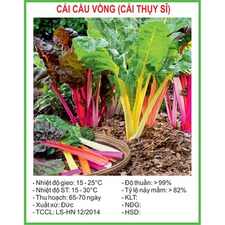 Hạt Giống Cải 7 sắc cầu vồng 50 Hạt/ Gói