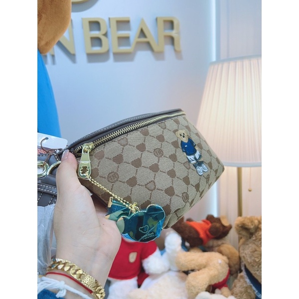 Túi ttwn bear