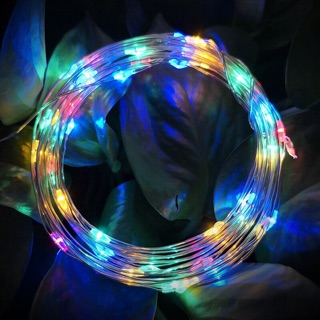 Đèn đom đóm/fairy light màu