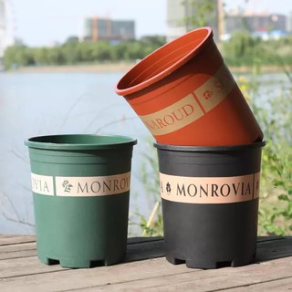Chậu MONROVIA 7GL_kèm đĩa