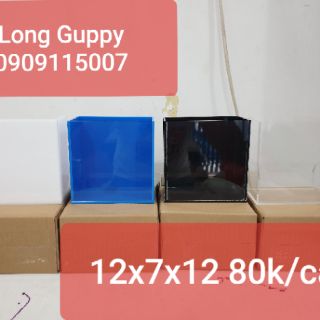 Hồ show cá siêu trong Acrylic