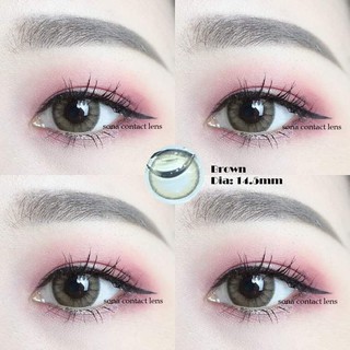 Lens Brown Hàn Có Độ Cận + khay dụng cụ
