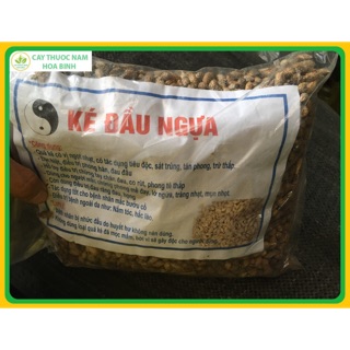 [GIÁ BUÔN] 1kg quả ké đầu ngựa (đã bỏ gai)