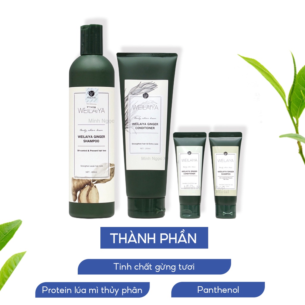 Combo dầu gội, xả gừng trắng WEILAIYA GINGER chống rụng kích mọc tóc 400ml + 250ml tặng set mini 20ml