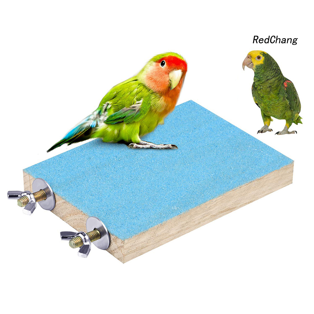 Set 10 Đồ Chơi Vui Nhộn Dành Cho Vẹt