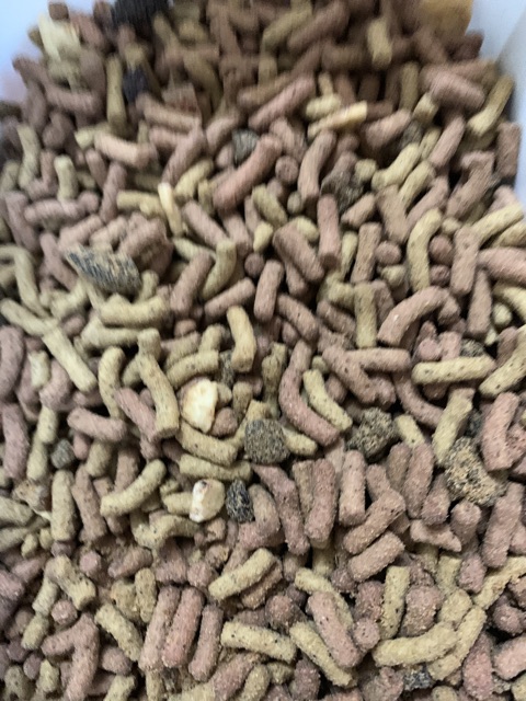 Hỗn hợp thức ăn viên dành cho Vẹt 25k/100g..