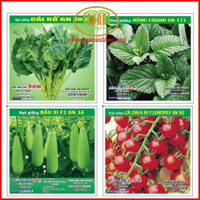 Hạt giống rau xà lách, rau thơm, cải các loại