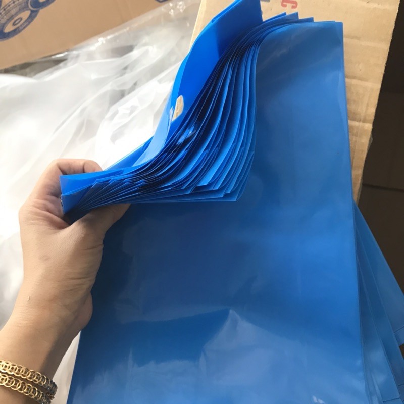 Túi hột xoài _ bịch hột xoài 2 quai pp dẻo hàng shop