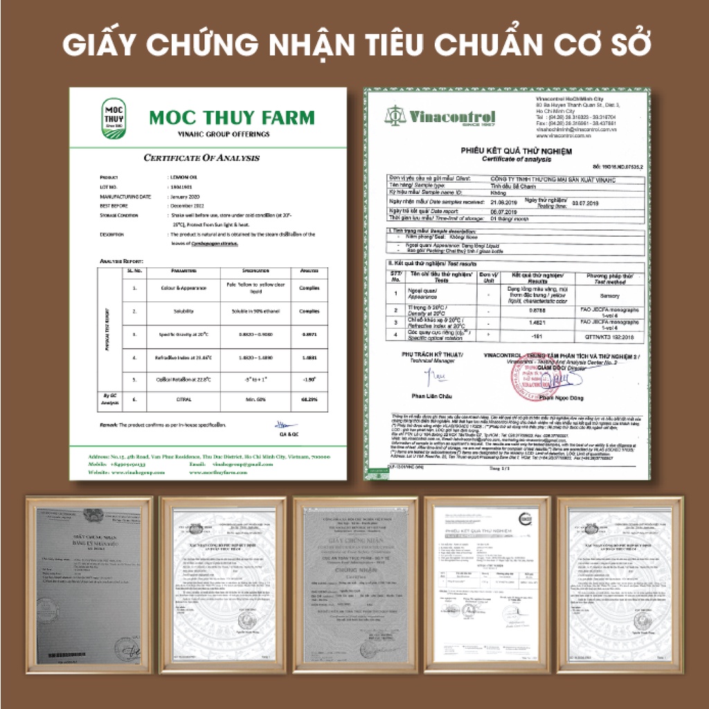 Xịt khử mùi tinh dầu Hương Gỗ Ấm Homer Thiên nhiên Dung tích 100ml/250ml