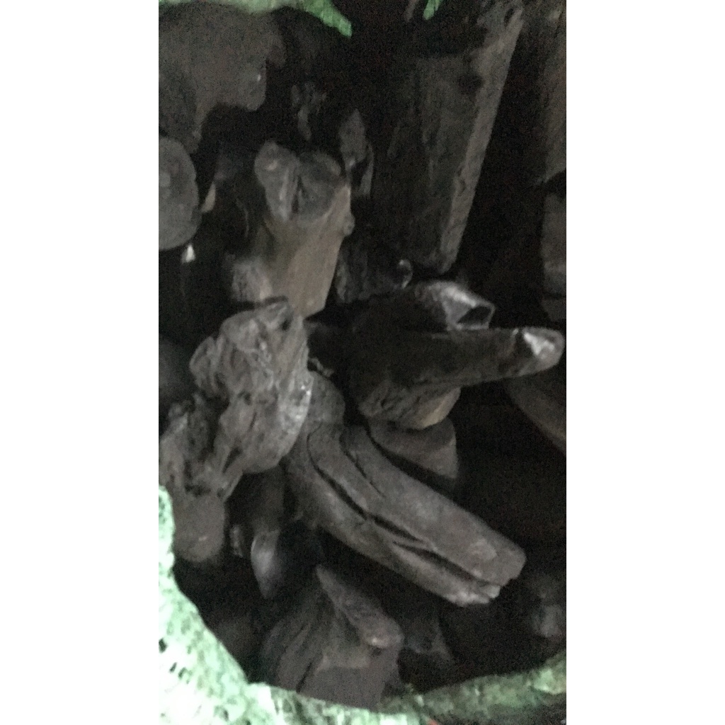Giá thể than đã qua xử lý trồng hoa lan 5kg