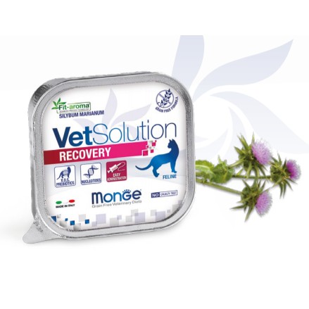 Monge Vetsolution pate hỗ trợ thúc đẩy phục hồi dinh dưỡng dành cho mèo bệnh và sau phẫu thuật 100gr