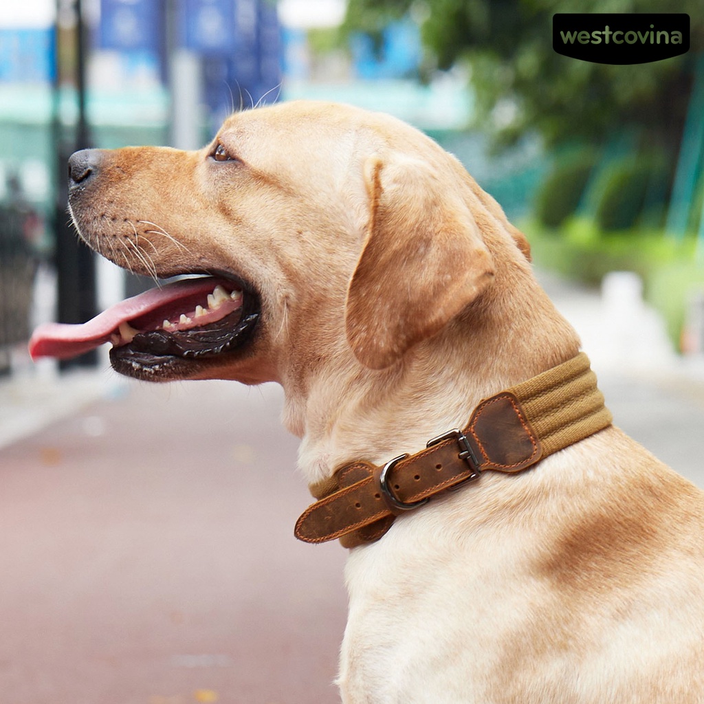 [Mới]♞Vòng Cổ Giả Da Thoáng Khí Có Thể Điều Chỉnh Cho Thú Cưng