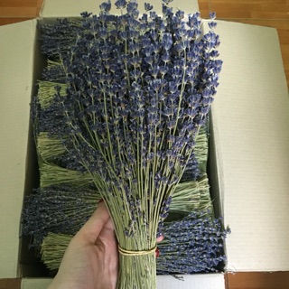 Bó hoa Lavender Pháp đủ Bill