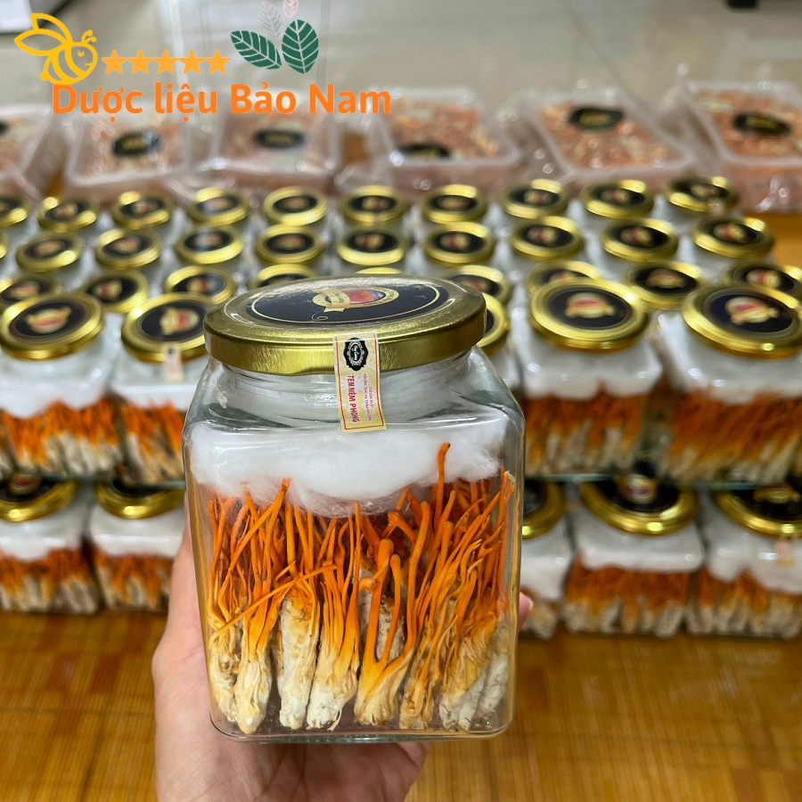 Đông Trùng Hạ Thảo Nhộng nguyên con sấy thăng hoa hàng Huy Cương 100% 22k/con, hộp 20-40 con