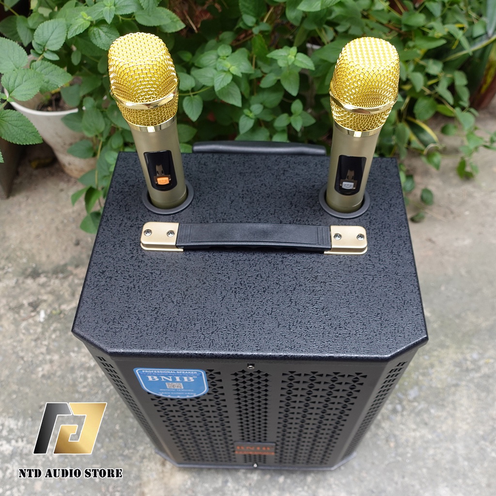 Loa Kéo BNIB 0899 Loa kẹo kéo bass 20 hát karaoke tích hợp bluetooth tích hợp Micro không dây Bảo Hành 12 Tháng