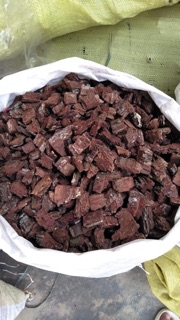 Vỏ thông đỏ trồng lan