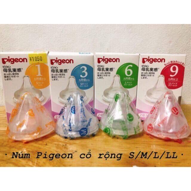 Núm ti pigeon nội địa
