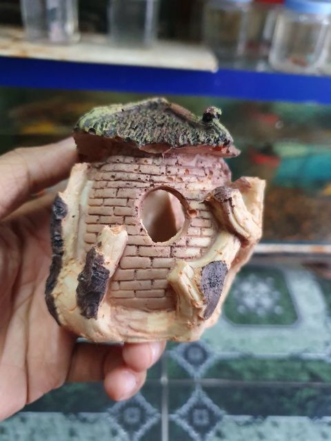 CẢNH NHÀ TRANG TRÍ HỒ CÁ NON BỘ CAO 8CM