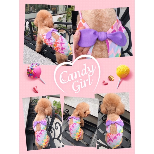 Bikini phối nơ ngực hoạ tiết trái tim/Bikini cao cấp cho chó mèo