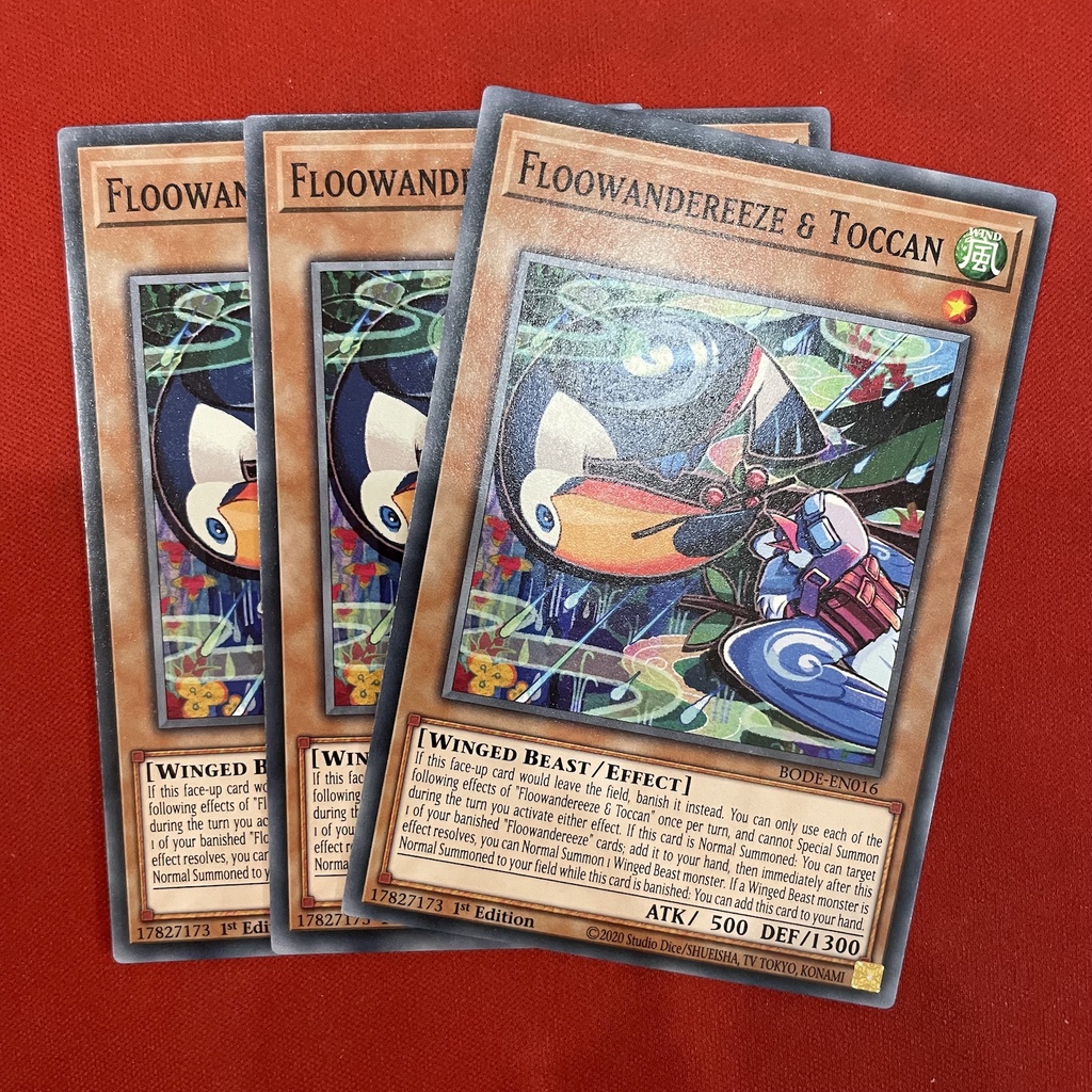 Floowandereeze & Toccan