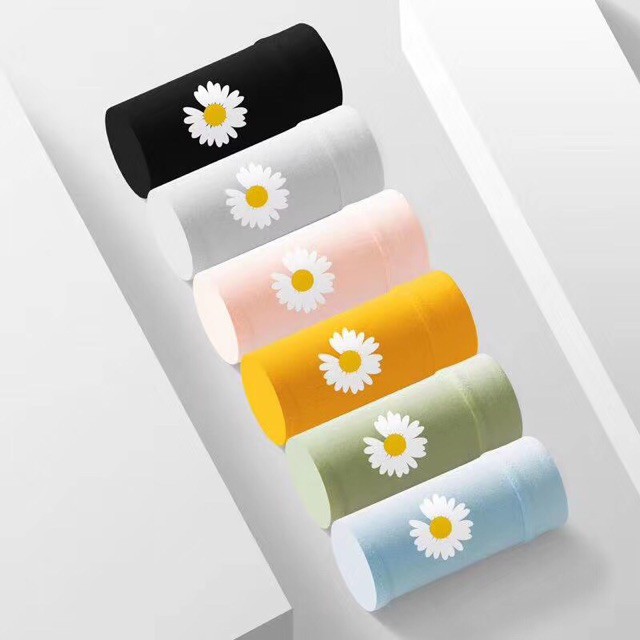 Được chọn màu - Quần lót cotton cúc họa mi kháng khuẩn chống viêm