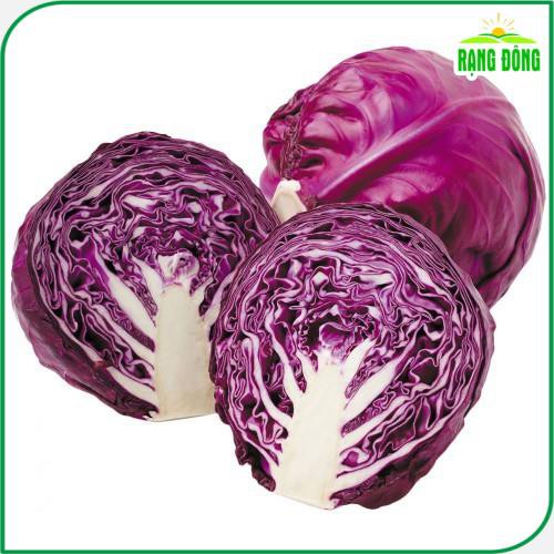 Hạt giống Bắp Cải Tím lai F1 sinh trưởng tốt, trồng quanh năm - Hạt giống Rạng Đông