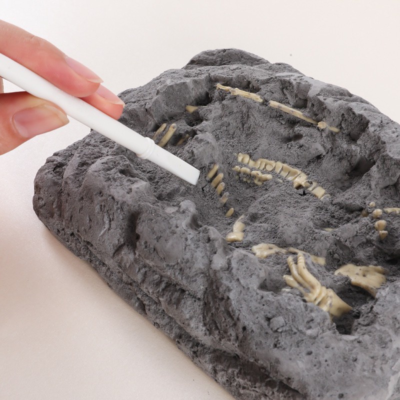 Đồ Chơi Đào Hóa Thạch Khủng Long Khảo Cổ Học Đi Tìm Xương Kho Báu Treasue X Cục Vàng Làm Vòng Tay Cho Bé Giá Rẻ Nhất