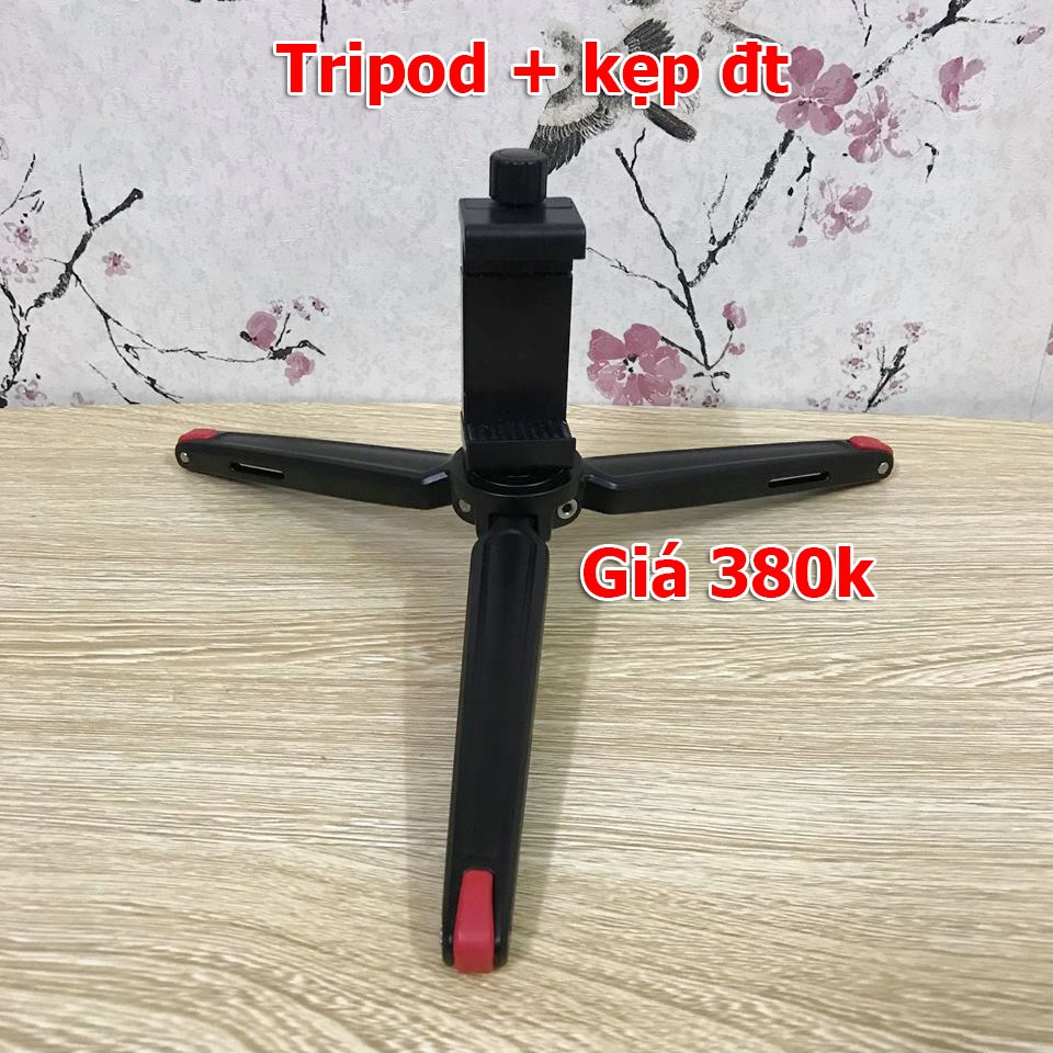 Chân máy ảnh tripod - QMini